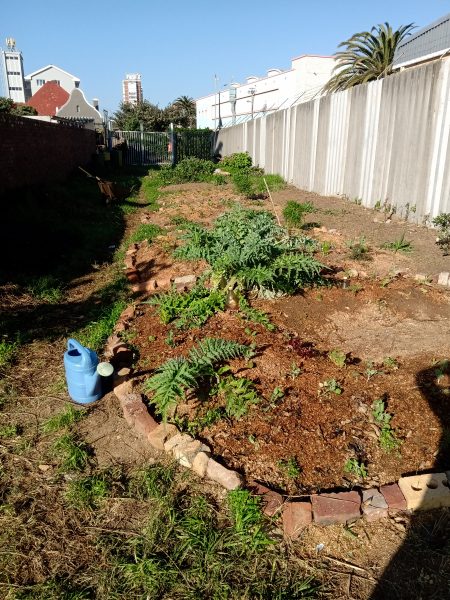 Muizenberg community garden